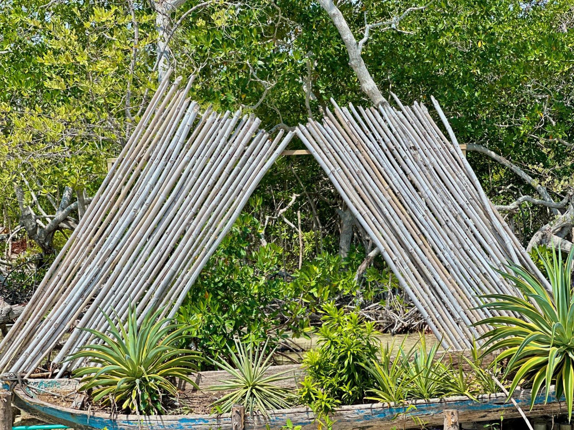 Medusa Hostel Isla Tintipan Tintipan Island Exterior foto